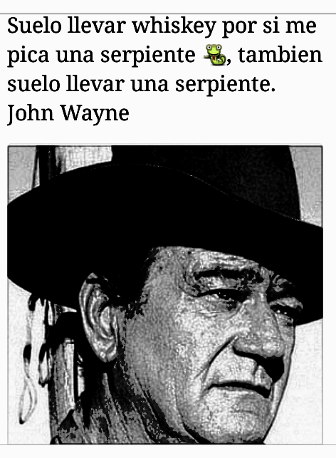 Resultado de imagen de frases de John Wayne